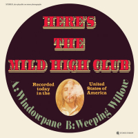 Mild High Club - Windowpane