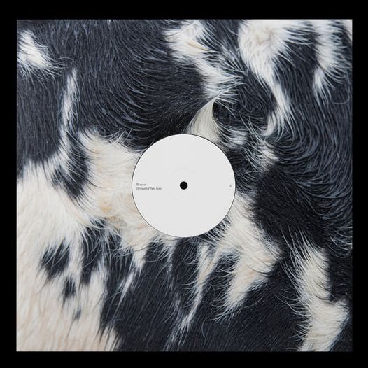 Blawan - Distmantled Into Juice : 12inch