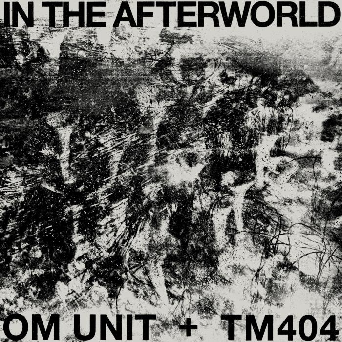 Om Unit + TM404 - In The Afterworld (LP) : LP