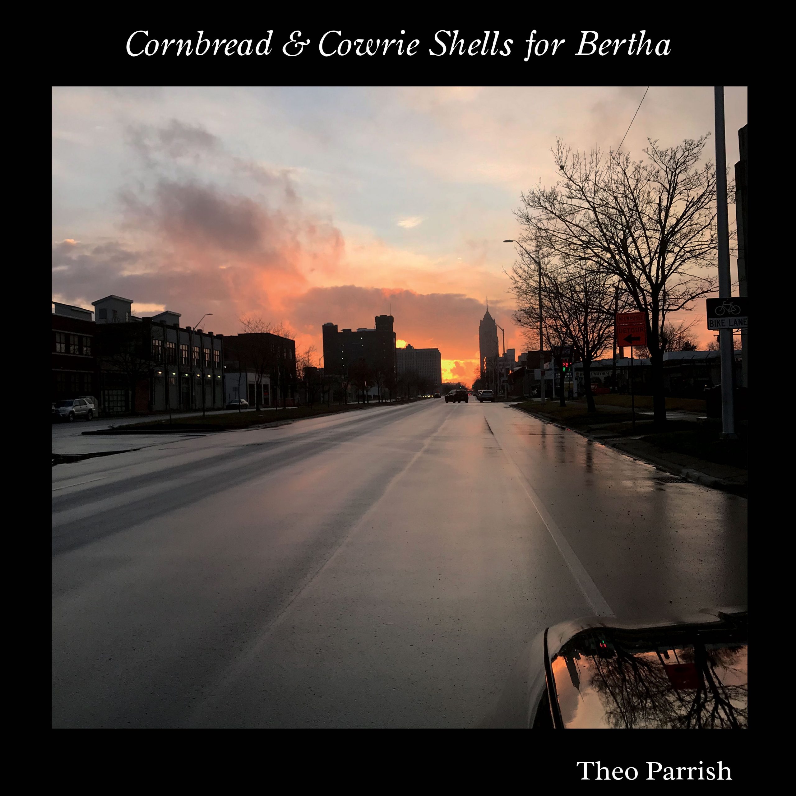 Theo Parrish - Cornbread & Cowrie Shells for Bertha : 2LP