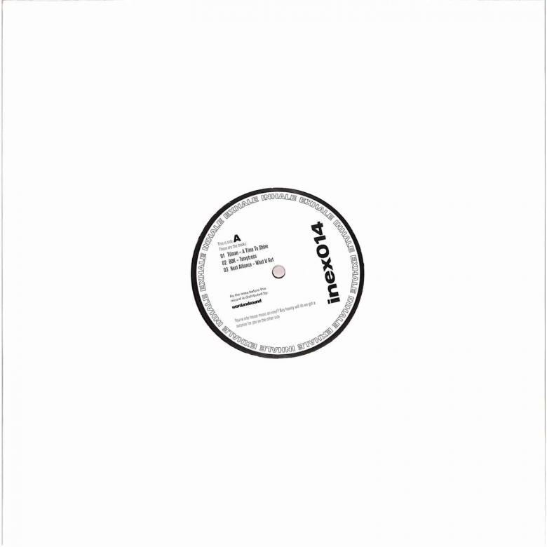 TILMAN / BDK / HEAT ALLIANCE / JESUDAPNK&LEVY / MEESHOO - InEx014 : 12inch