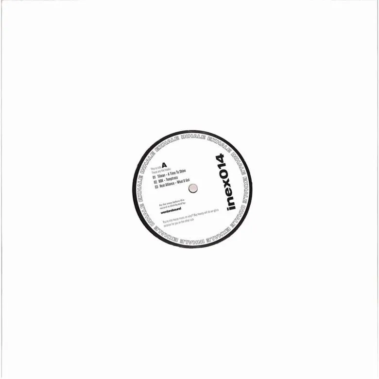 TILMAN / BDK / HEAT ALLIANCE / JESUDAPNK&LEVY / MEESHOO - InEx014 : 12inch