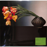 Wirski - MISBHV004