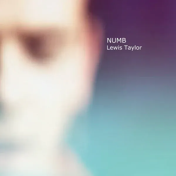 Lewis Taylor - NUMB : 2LP