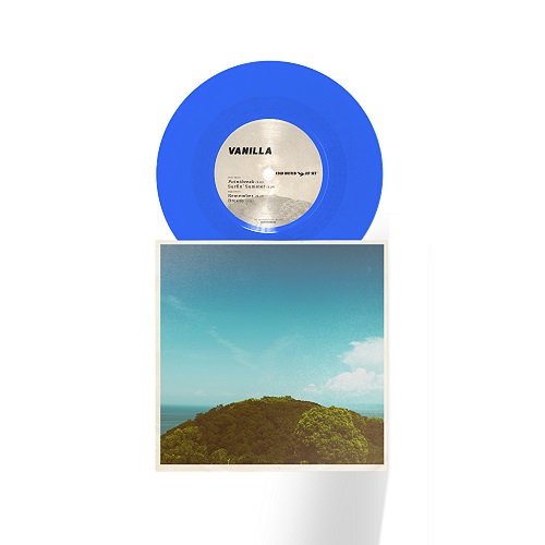 Vanilla - Pointbreak : 7inch