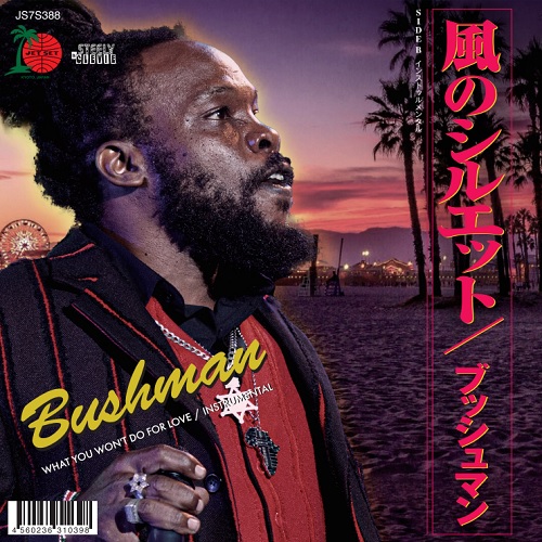 Bushman - What You Won't Do For Love : 7inch