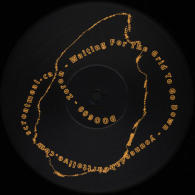 ZORON - Waiting For The Grid To Go Down (Vinyl) | NEWTONE RECORDS