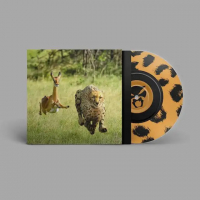 Thundercat & Tame Impala - No More Lies
