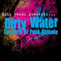Various - Dirty Water -The Birth Of Punk Attitude-
