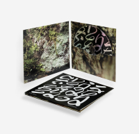 Mark Fell and WIll Guthrie - Infoldings / Diffractions