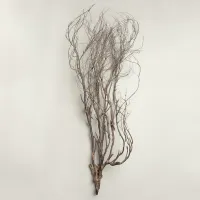 Mary Jane Leach - Woodwind Multiples