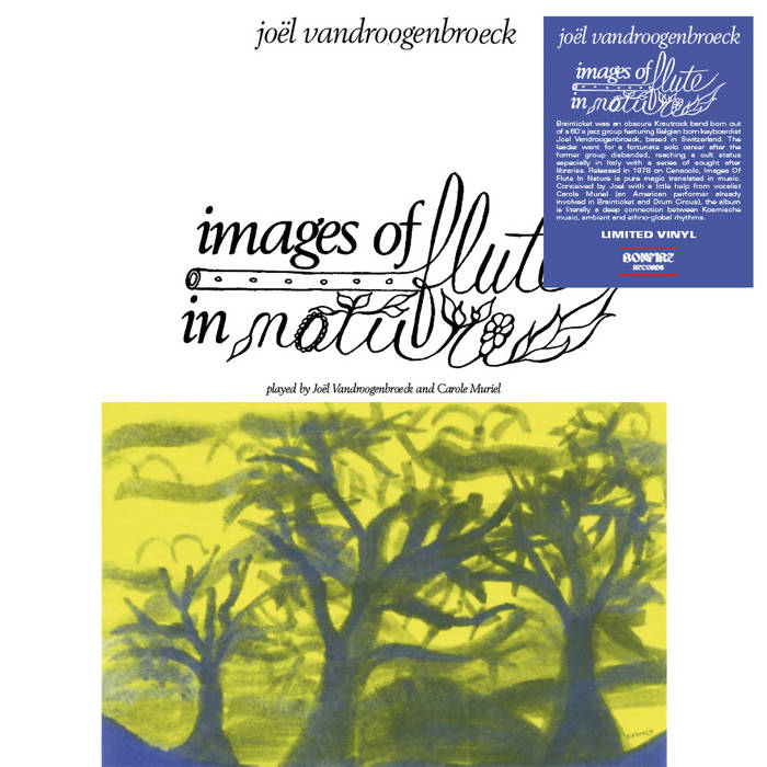 Joel Vandroogenbroeck - Image Of Flute In Nature : LP