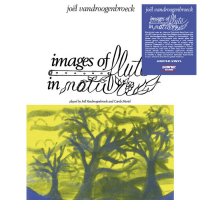 Joel Vandroogenbroeck - Image Of Flute In Nature