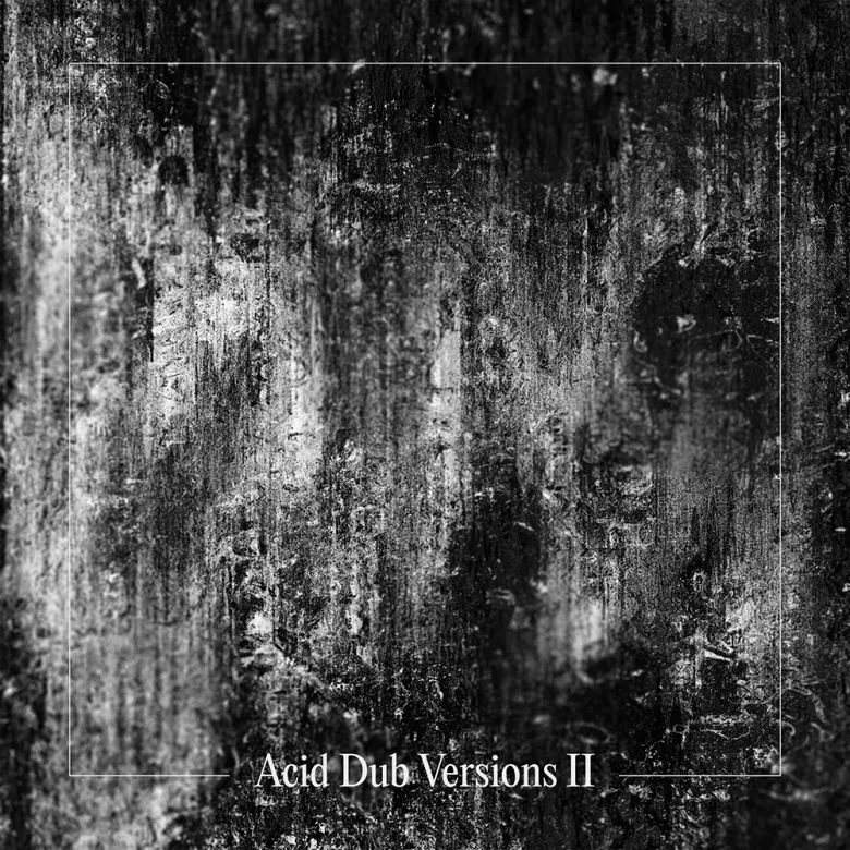 Om Unit - Acid Dub Versions II : 12inch×2