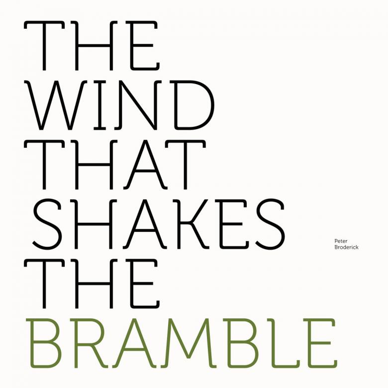 Peter Broderick - The Wind That Shakes The Bramble : LP