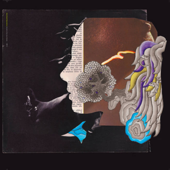 Various - Dirty French Psychedelics: Selected By Dirty Sound System : LP