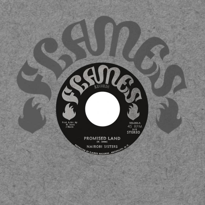 Nairobi Sisters - Promised Land : 7inch