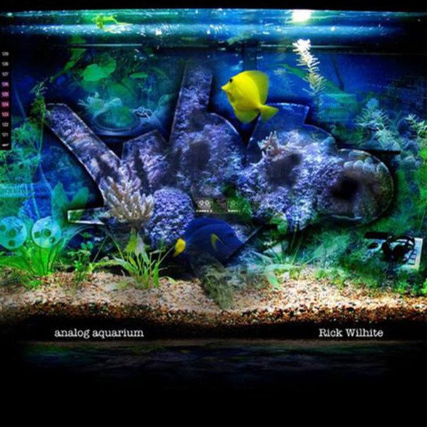 Rick Wilhite (Feat. Theo Parrish / Marcelus Pittma - Analog Aquarium : 2x12inch