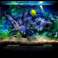 Rick Wilhite (Feat. Theo Parrish / Marcelus Pittma - Analog Aquarium
