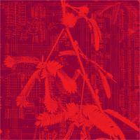 Hidden Horse - Incorporeal