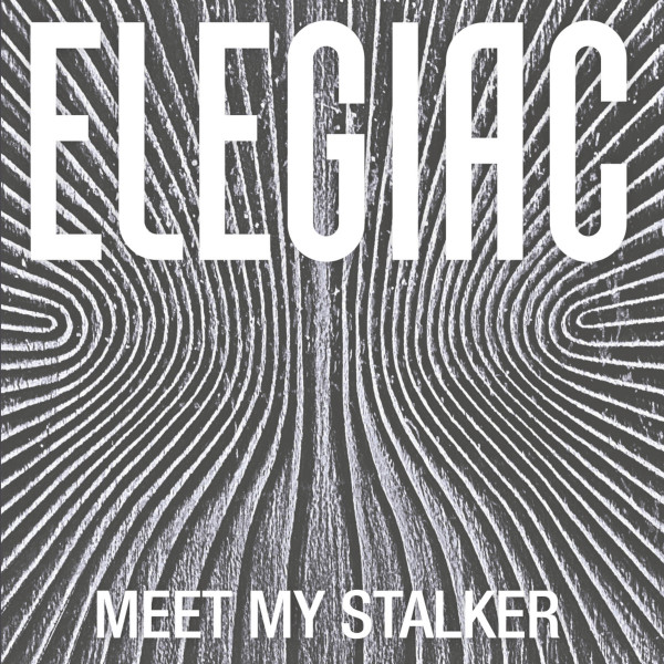 Elegiac - Meet My Stalker : 12inch