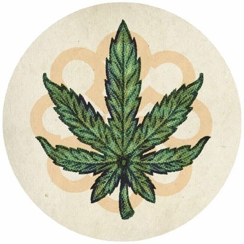 Coyote / Rolo Mcginty - Marijuana : 12inch