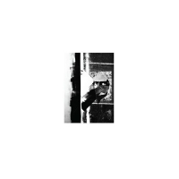 VARIOUS - A Disseminated Darkness On Inner Personality Status EP