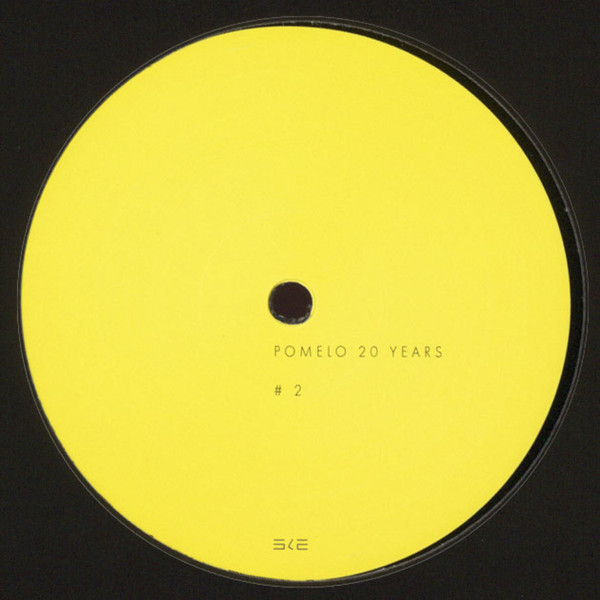 Various - 20 Years #2 : 12inch