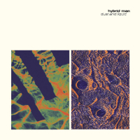 Hybrid Man - Dust and Liquid EP