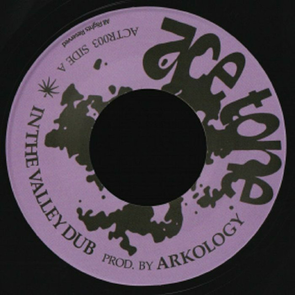 Arkology - Into The Valley Dub : 7inch