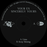 Your Ex - Sincerely Yours