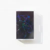 Masatomo Yoshizawa, XTAL - Tangle