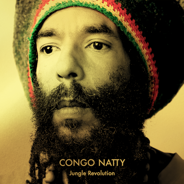 Congo Natty - Jungle Revolution（10周年記念盤／数量限定／DLコード付き／イエロー・アンド・グリーン・ヴァイナル） : 2LP