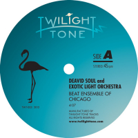 Deavid Soul And Exotic Light Orchestra - Beat Ensemble of Chicago / Continental Grind!
