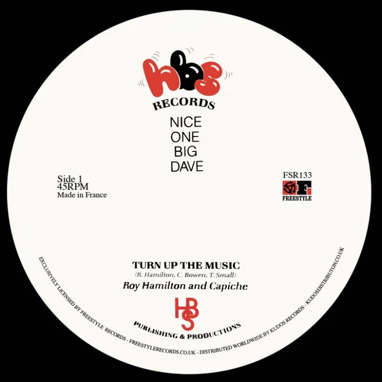 Roy Hamilton & Capiche - Turn up the Music : 12inch