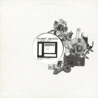 VARIOUS - Planet Delsin