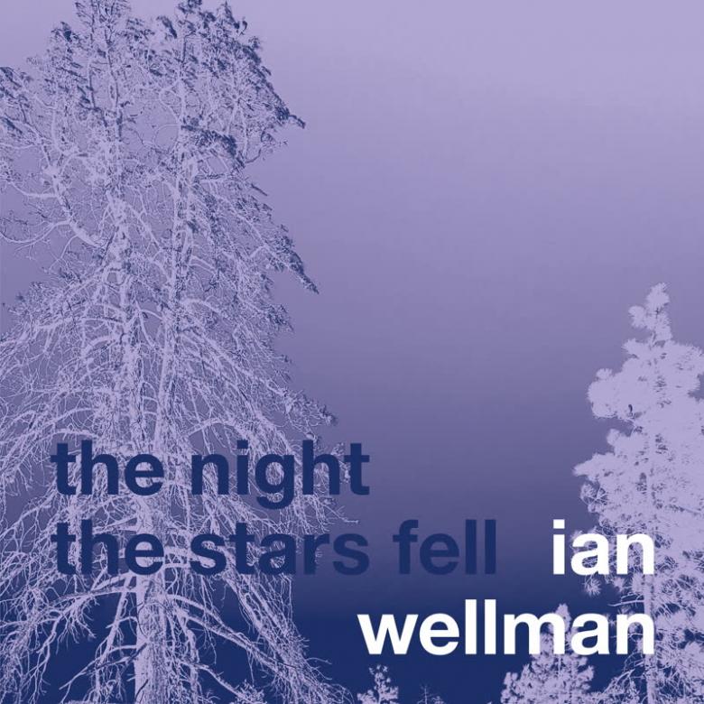 Ian Wellman - The Night the Stars Fell : CD