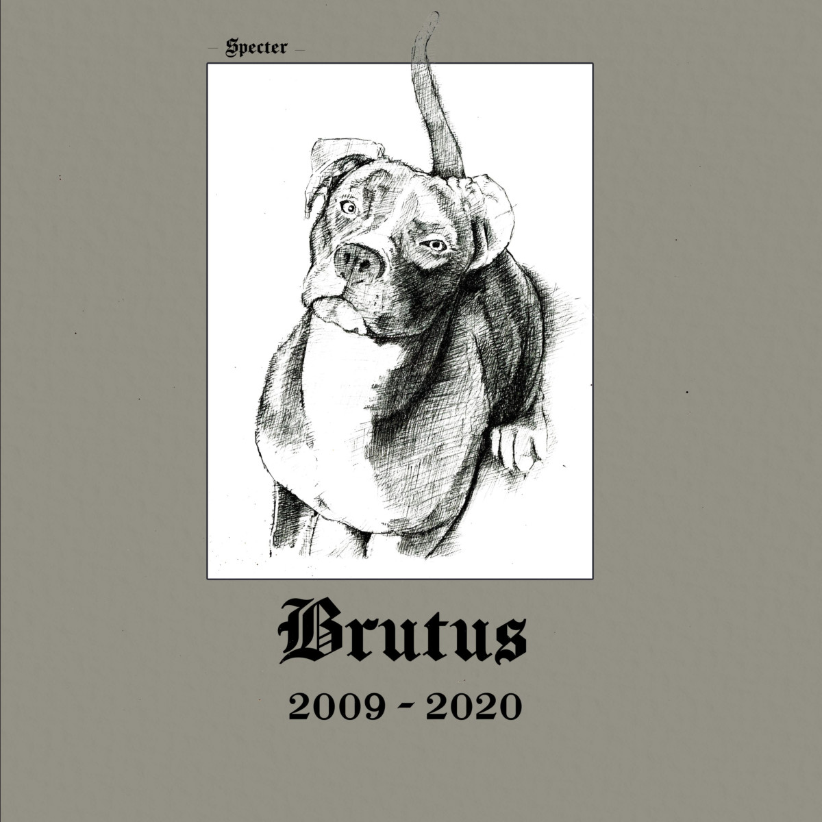 Specter - Brutus : 2LP