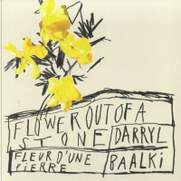 Darryl Baalki - Flower Out Of A Stone EP