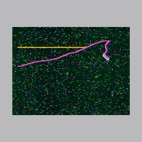 Khotin - Alterac Acid / Mornings II