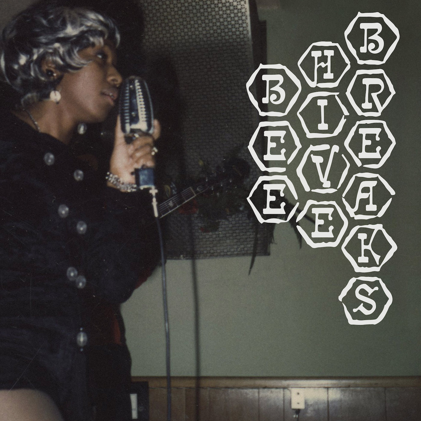 Various Artists - Beehive Breaks : LP