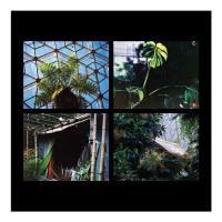 William Selman - The Weather Indoors