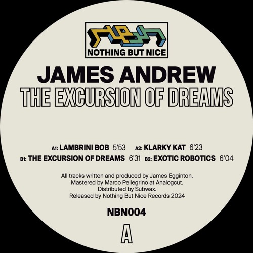 James Andrew - The Excursion Of Dreams : 12inch