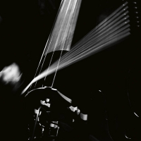 Arnold Dreyblatt / The Orchestra Of Excited Strings - Resolve