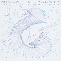 HELADO NEGRO - Phasor