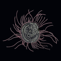 Ka Baird - Bearings: Soundtracks for the Bardos