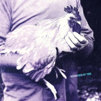 Nourished by Time - Catching Chickens