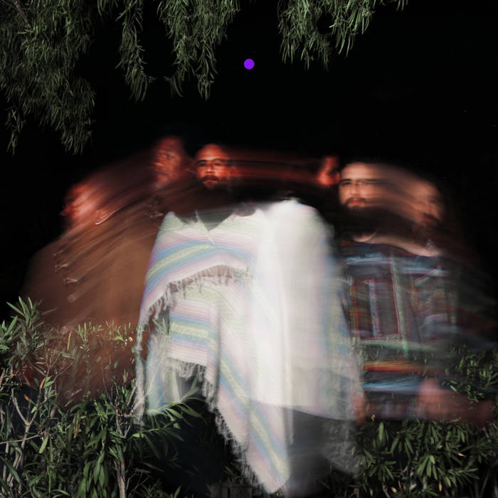 Surya Botofasina, Nate Mercereau, Carlos Niño - Subtle Movements : 2LP