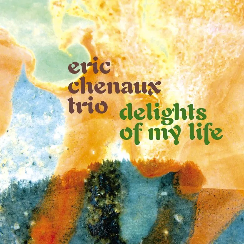 Eric Chenaux Trio - Delights Of My Life : LP