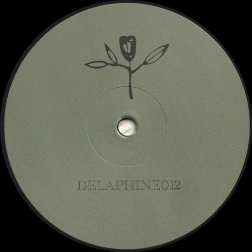S.A.M. - Delaphine 012 : 12inch